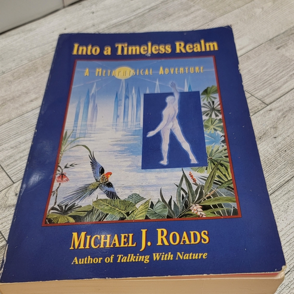 Metaphysical book by Michael J. Roads. Title: Into A Timeless Realm.